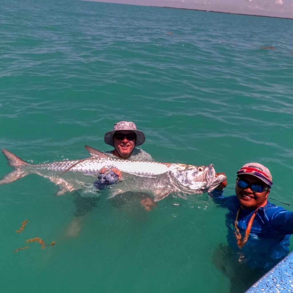 Ascension Bay Tarpon